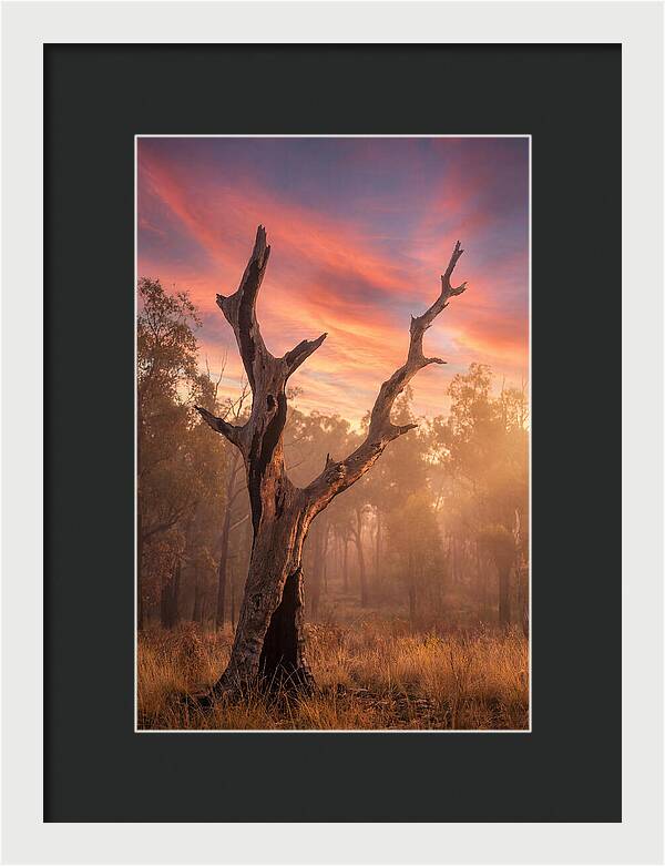 Standing Tall In Twilight