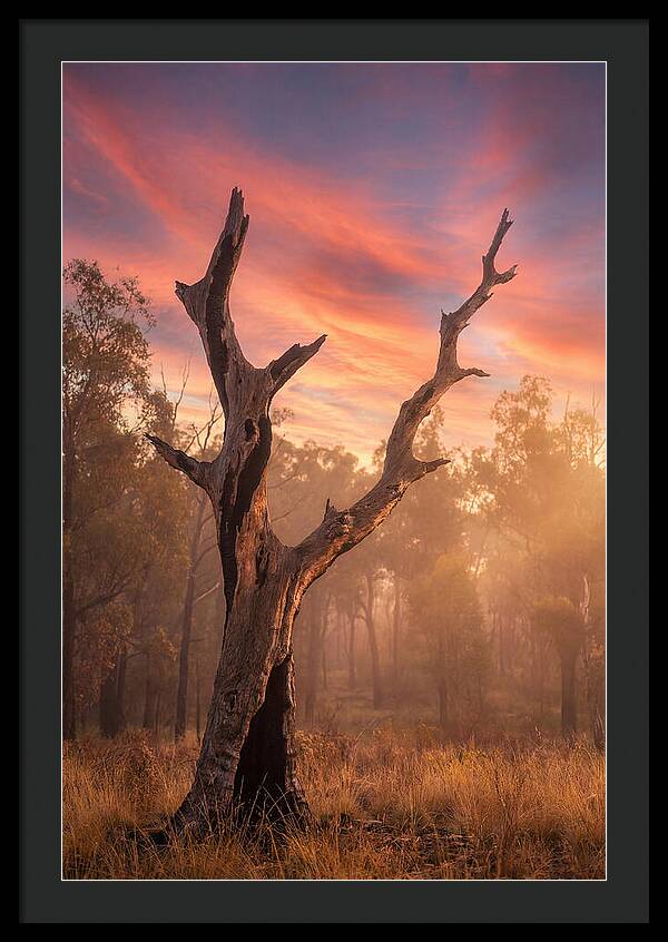 Standing Tall In Twilight
