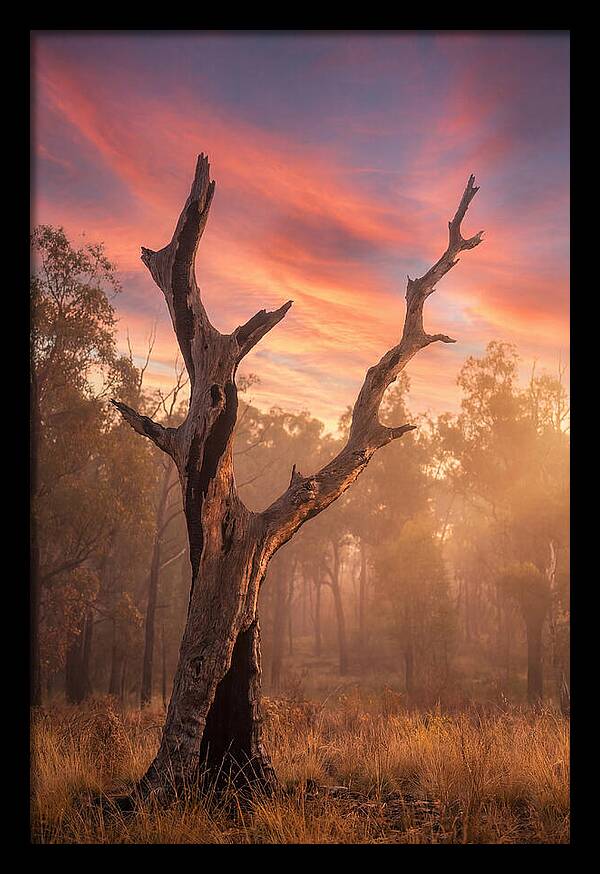 Standing Tall In Twilight