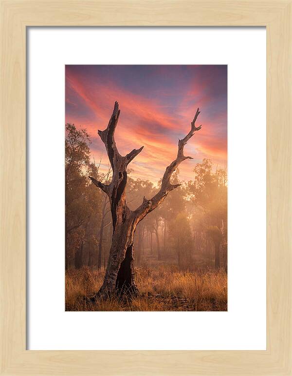 Standing Tall In Twilight