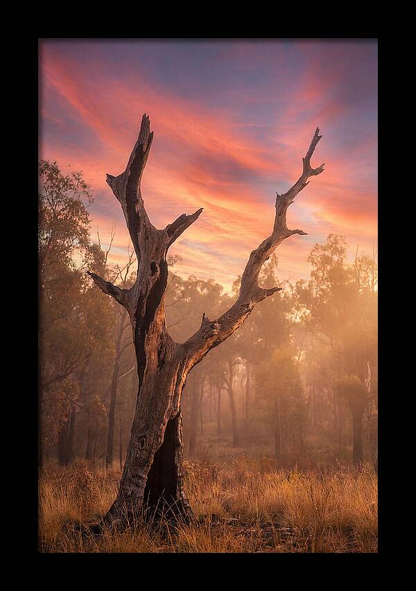 Standing Tall In Twilight