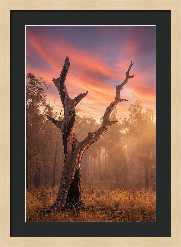 Standing Tall In Twilight