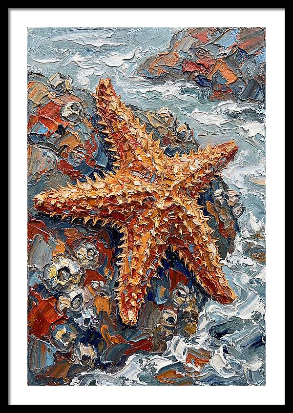 Starfish Among Waves