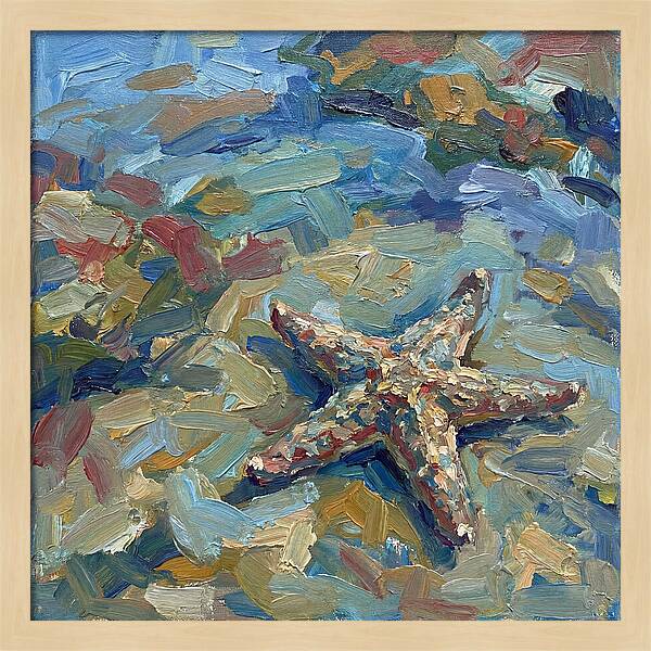 Starfish By The Shore
