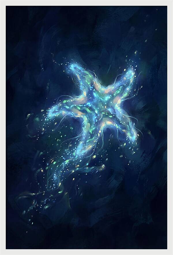 Starfish In The Deep