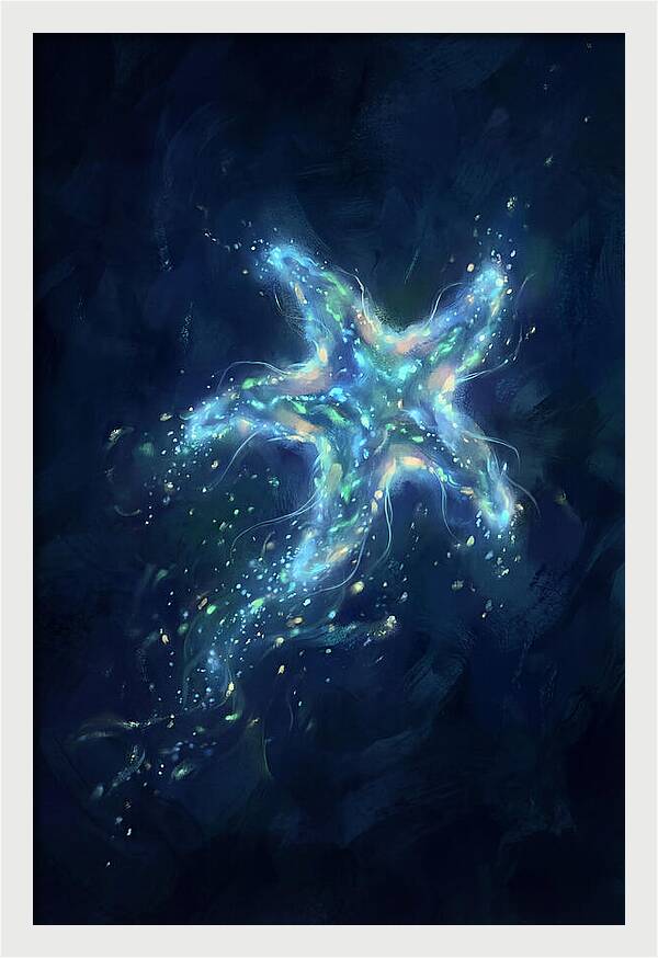 Starfish In The Deep