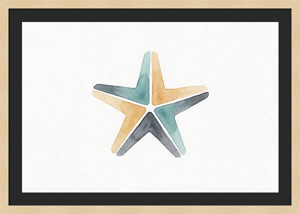 Starfish Minimalism