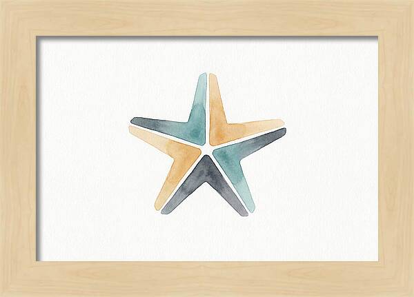 Starfish Minimalism
