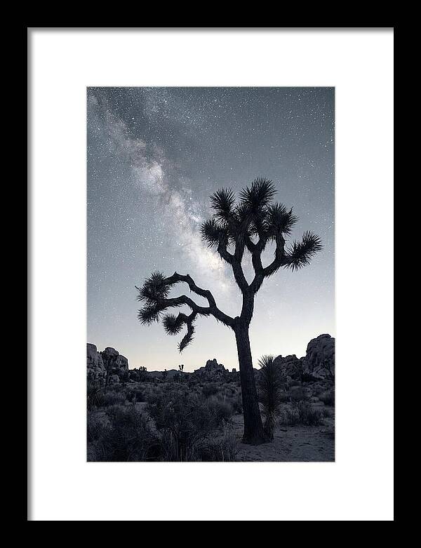 Starlit Serenity Above Joshua Tree