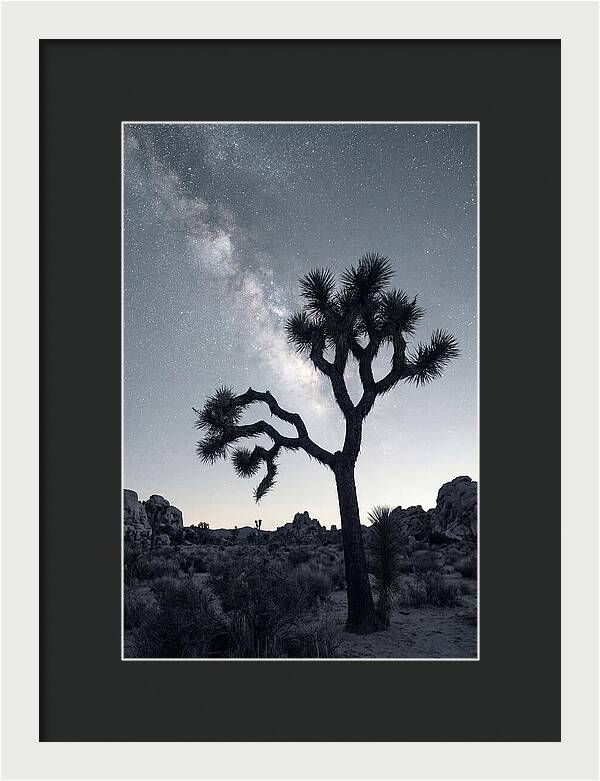 Starlit Serenity Above Joshua Tree