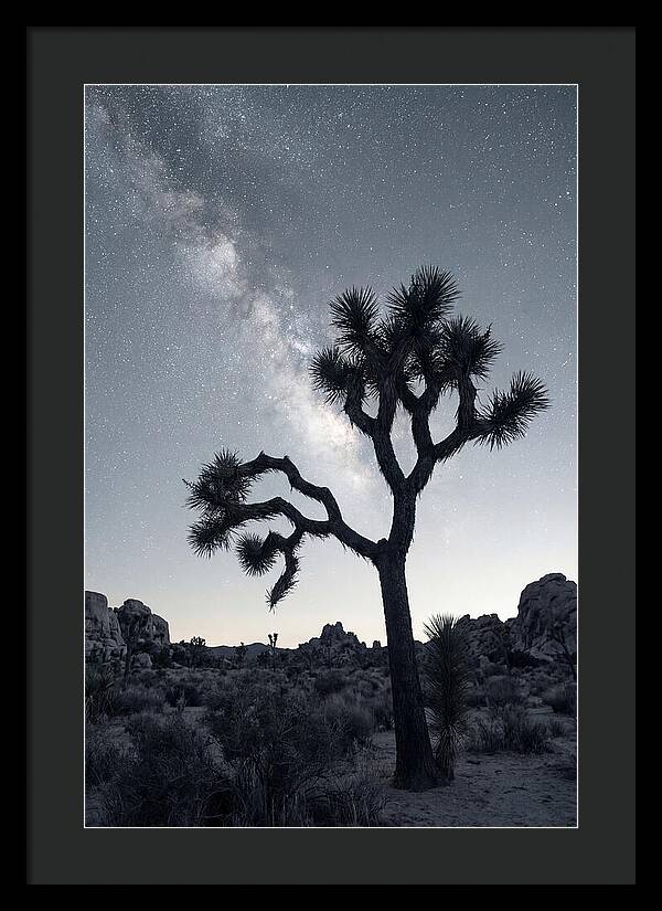 Starlit Serenity Above Joshua Tree