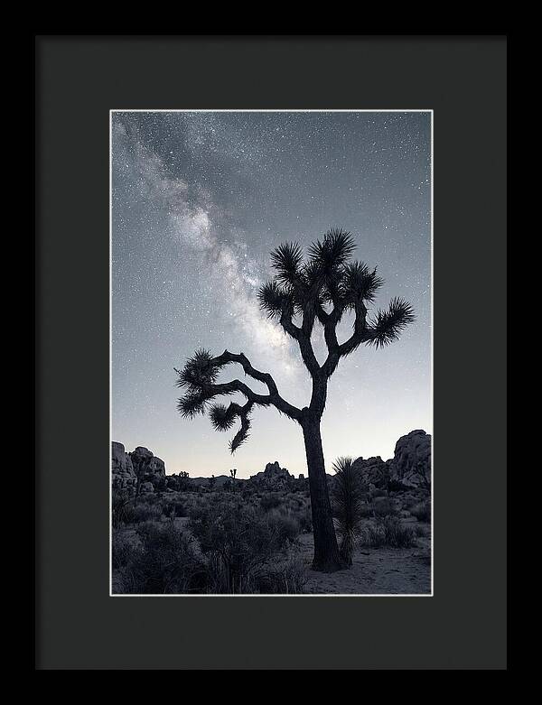 Starlit Serenity Above Joshua Tree