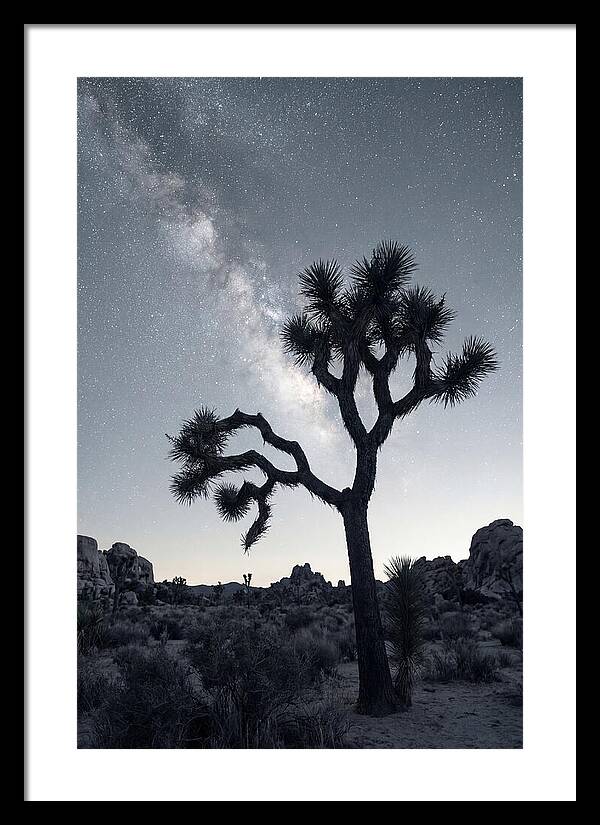 Starlit Serenity Above Joshua Tree