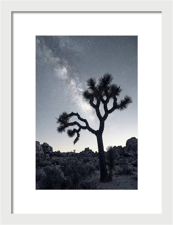 Starlit Serenity Above Joshua Tree