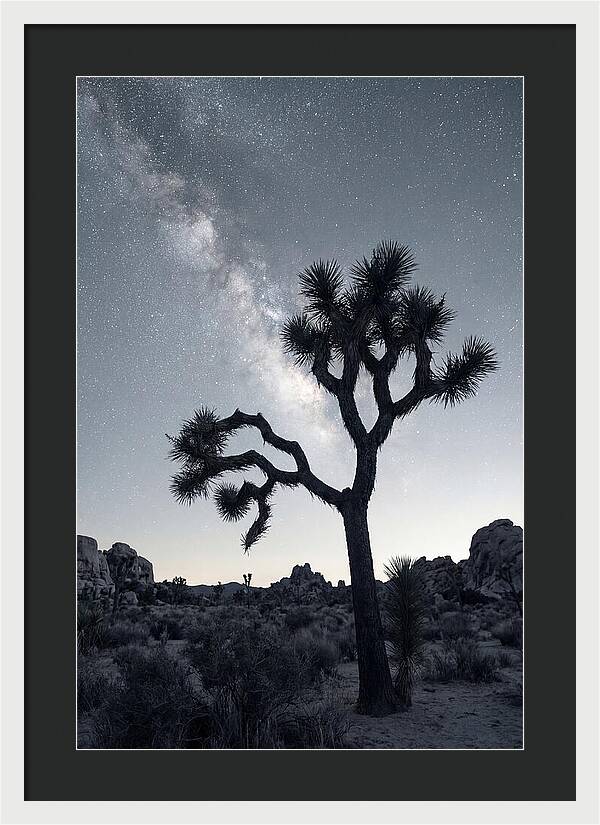 Starlit Serenity Above Joshua Tree