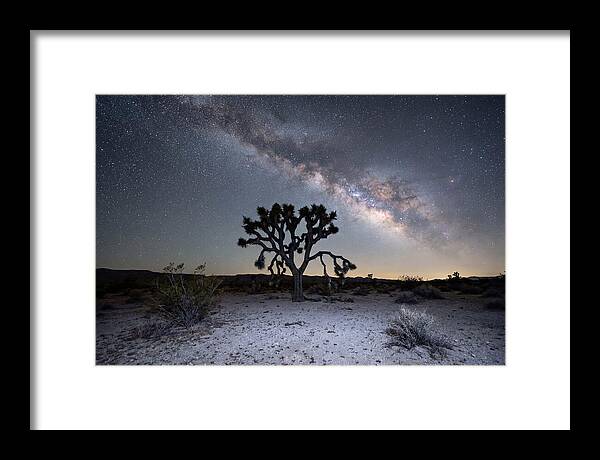 Starlit Serenity Over Joshua Tree