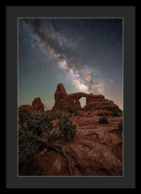 Starry Night Above Arches National Park