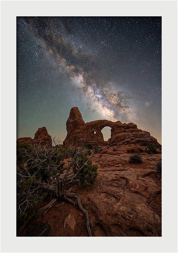 Starry Night Above Arches National Park