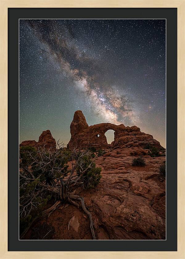 Starry Night Above Arches National Park