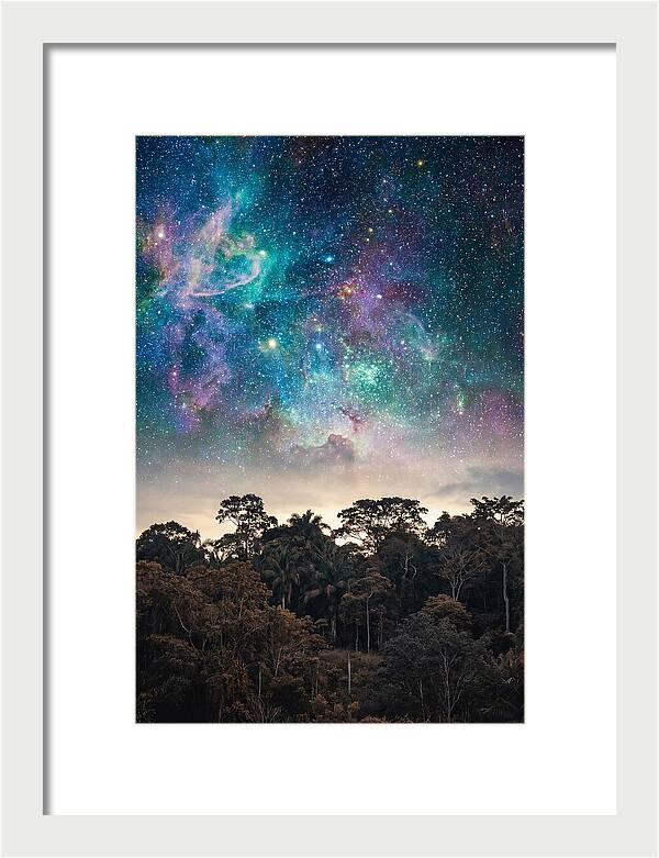 Starry Night Above Forest