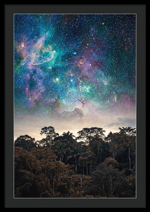 Starry Night Above Forest