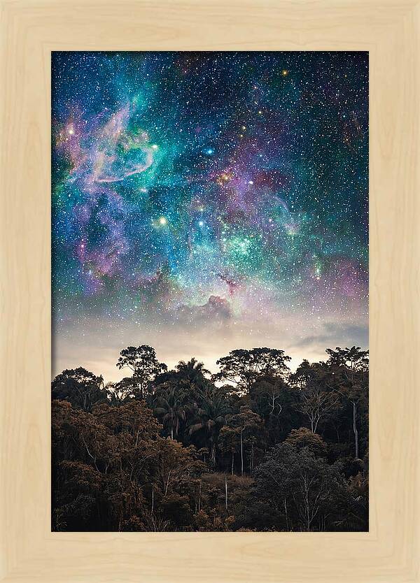 Starry Night Above Forest