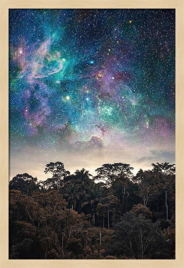 Starry Night Above Forest