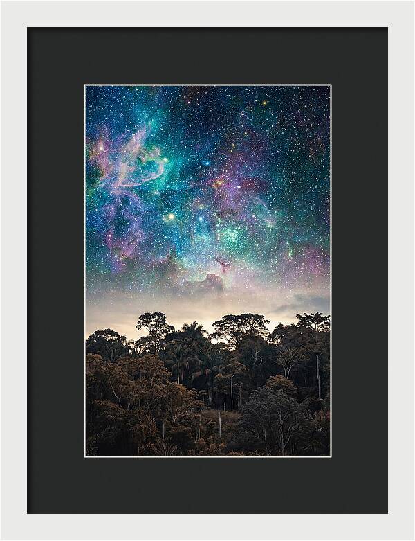 Starry Night Above Forest