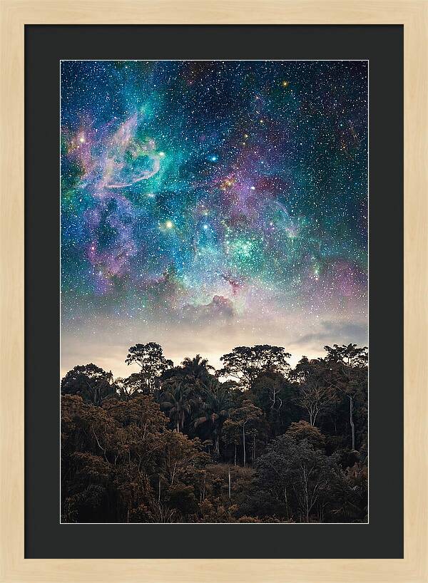 Starry Night Above Forest