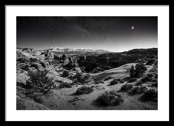 Starry Night Over Joshua Tree
