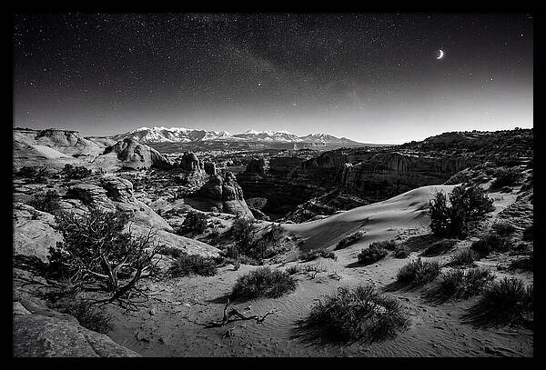 Starry Night Over Joshua Tree