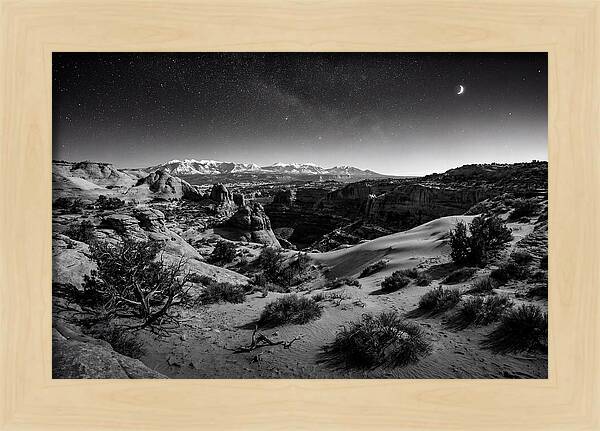 Starry Night Over Joshua Tree