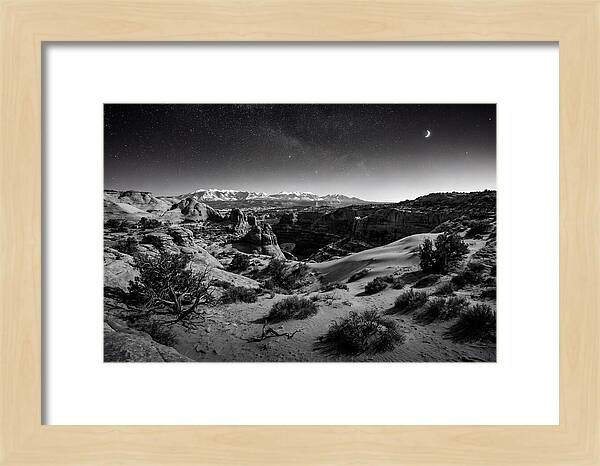 Starry Night Over Joshua Tree