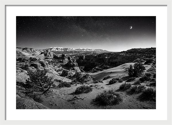 Starry Night Over Joshua Tree