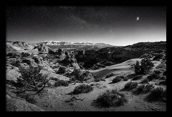 Starry Night Over Joshua Tree
