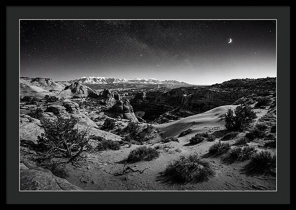Starry Night Over Joshua Tree