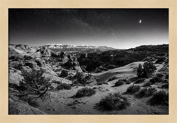 Starry Night Over Joshua Tree