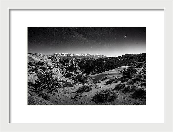 Starry Night Over Joshua Tree