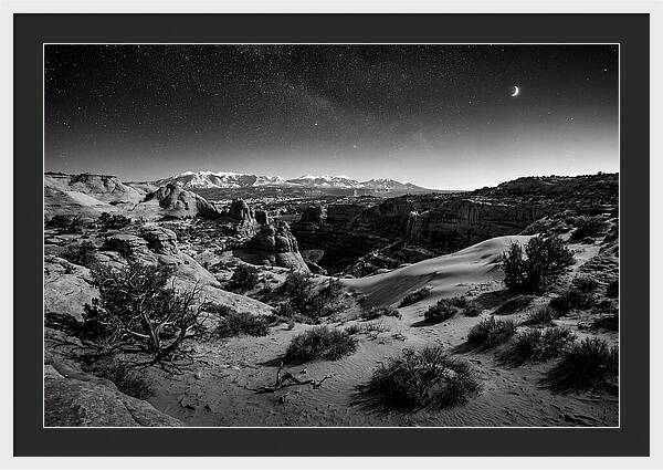 Starry Night Over Joshua Tree
