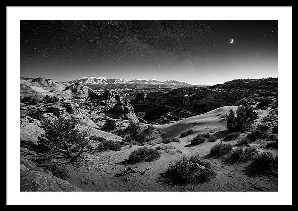 Starry Night Over Joshua Tree
