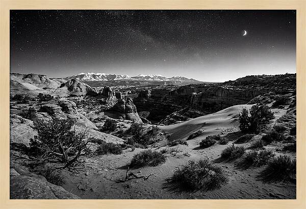 Starry Night Over Joshua Tree