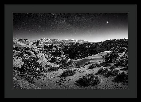 Starry Night Over Joshua Tree