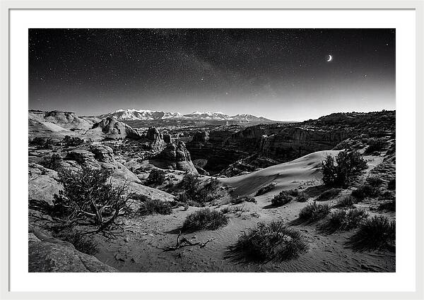 Starry Night Over Joshua Tree