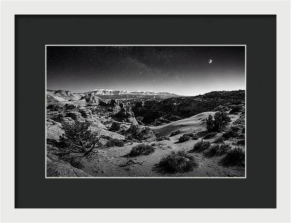 Starry Night Over Joshua Tree
