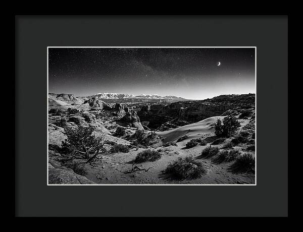 Starry Night Over Joshua Tree