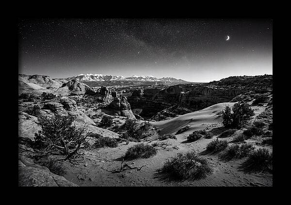 Starry Night Over Joshua Tree