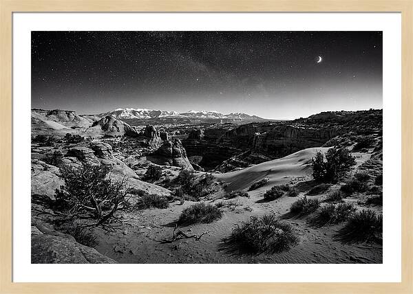 Starry Night Over Joshua Tree