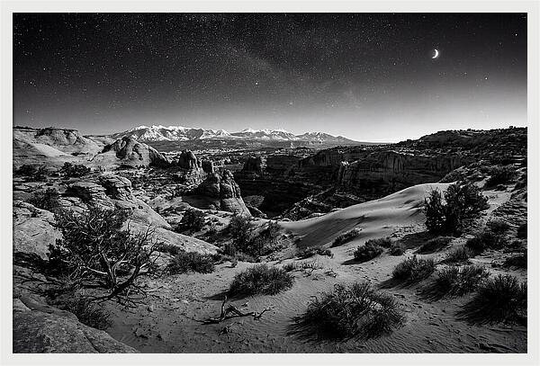 Starry Night Over Joshua Tree