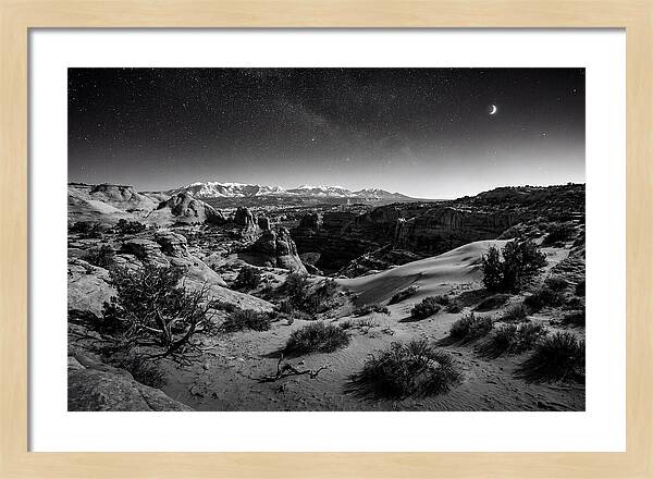 Starry Night Over Joshua Tree