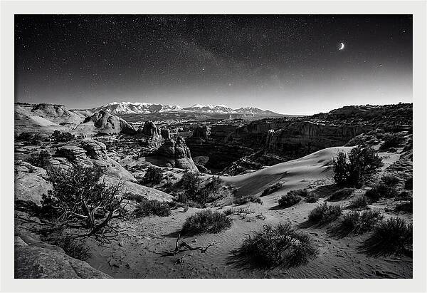 Starry Night Over Joshua Tree
